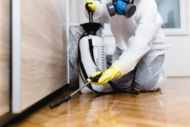 Best Pest Prevention Services  in Lanett, AL
