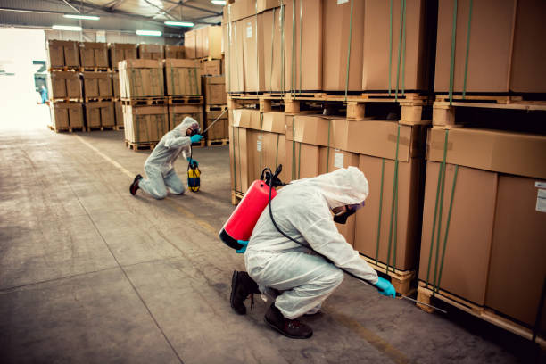 Best Flea Control Services  in Lanett, AL
