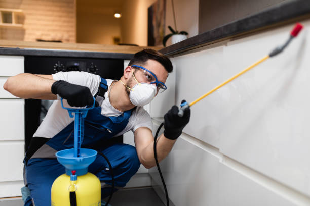 Best Termite Control Services  in Lanett, AL