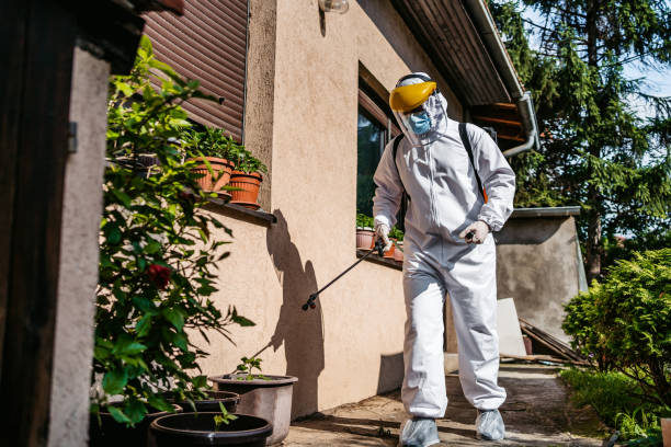Best Residential Pest Control  in Lanett, AL