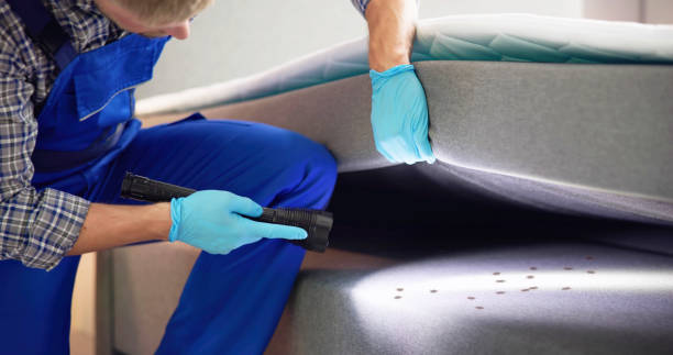 Best Pest Control for Homes  in Lanett, AL