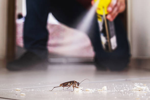 Best Best Pest Control Companies  in Lanett, AL