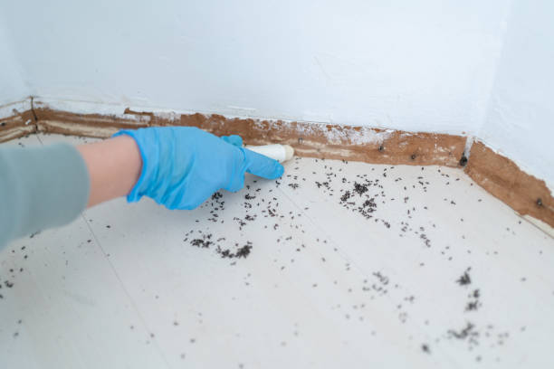 Best Emergency Pest Control  in Lanett, AL