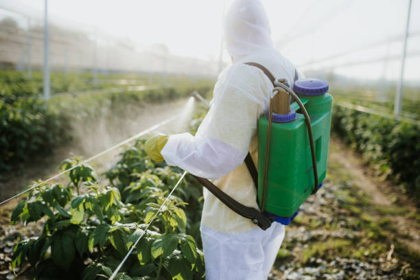 Professional Pest Control in Lanett, AL
